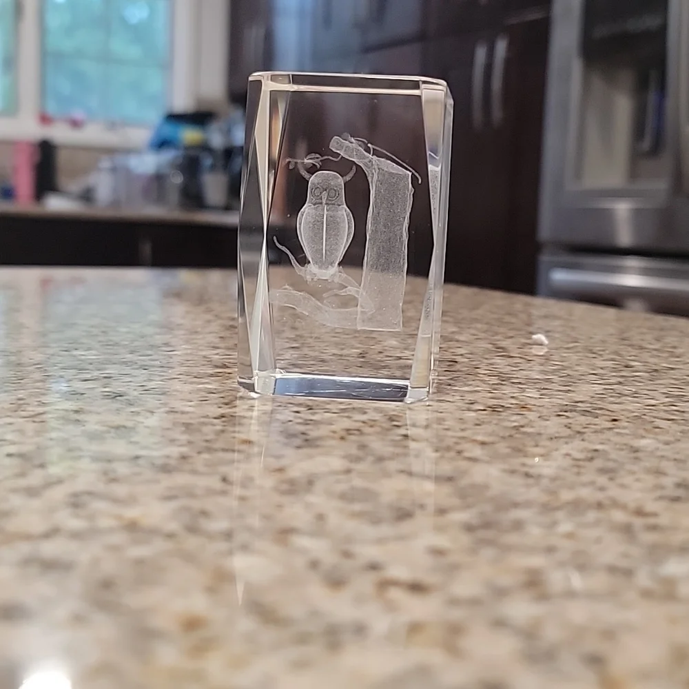 ✨️ Paperweight Glass Etched with Owl For Lighted Display 2